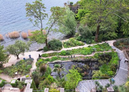La fauna delle isole di Brissago