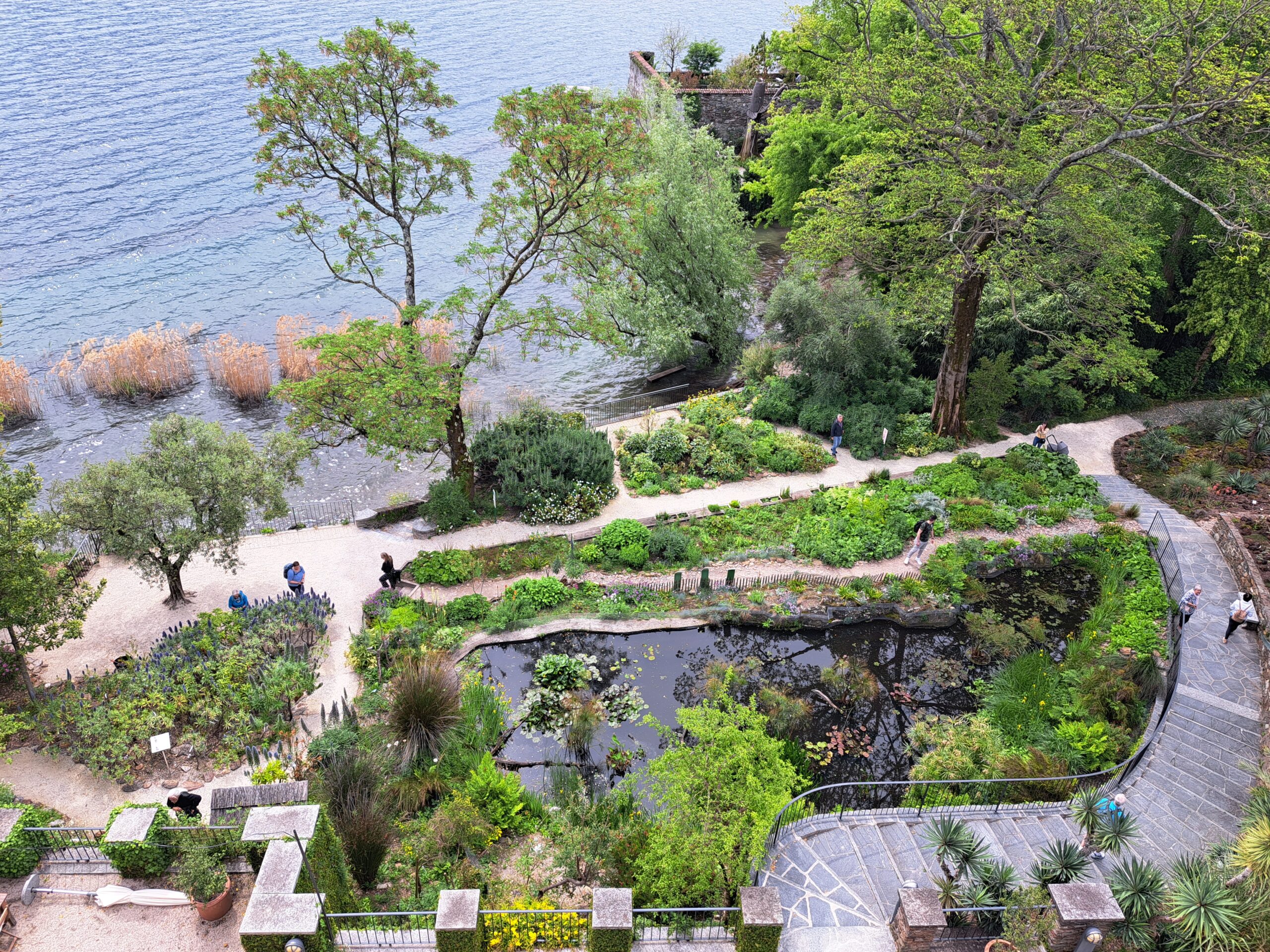 La fauna delle isole di Brissago