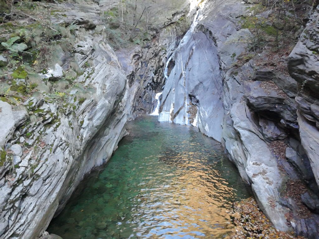 (C) Luca Pagano